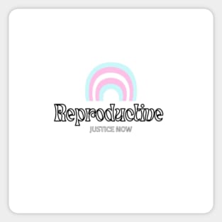 Reproductive Justice Now Trans Flag Sticker